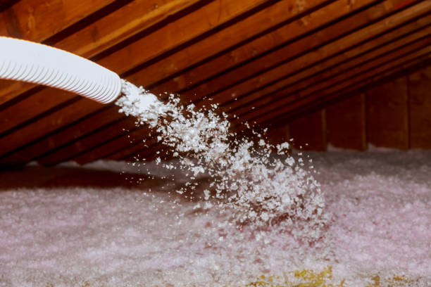 Best Insulation Maintenance and Repair in Hollister, CA