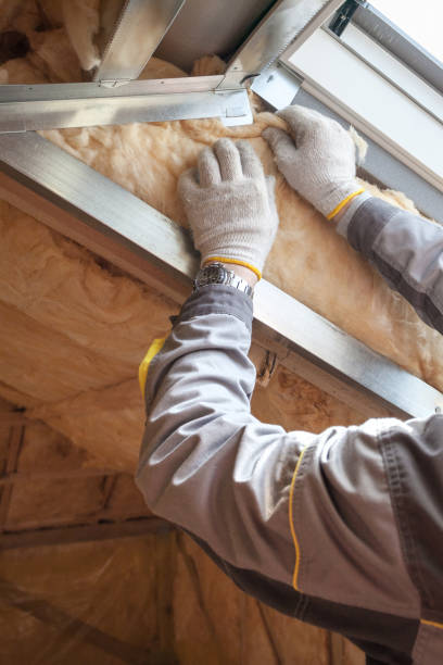 Best Insulation Maintenance and Repair in Hollister, CA